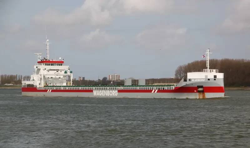 VLIEBORG Container Ship IMO 9554781 photo 10