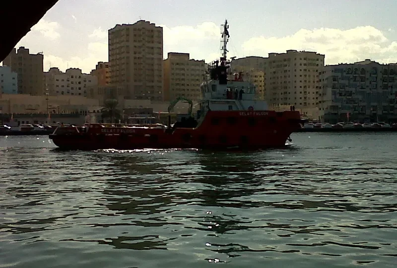 SELAT FALCON General Cargo IMO 9554963