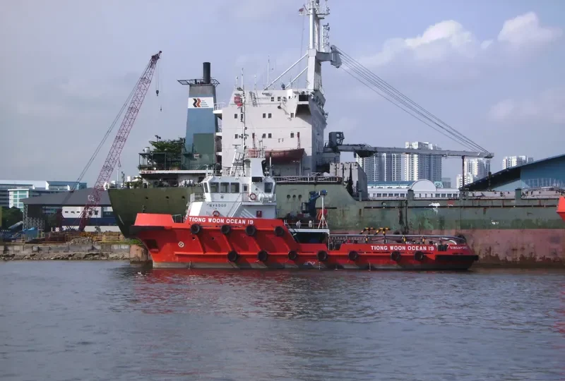 TIONG WOON OCEAN 19 General Cargo IMO 9554999