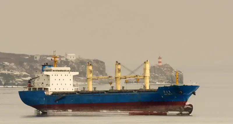 HUA YOU 1 Bulk Carrier IMO 9555072 photo 3