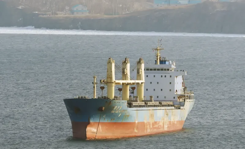HUA YOU 1 Bulk Carrier IMO 9555072 photo 6