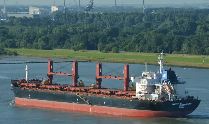 PAPA JOHN Bulk Carrier IMO 9555149 photo 3