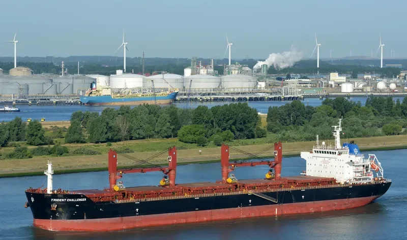 PAPA JOHN Bulk Carrier IMO 9555149 photo 4