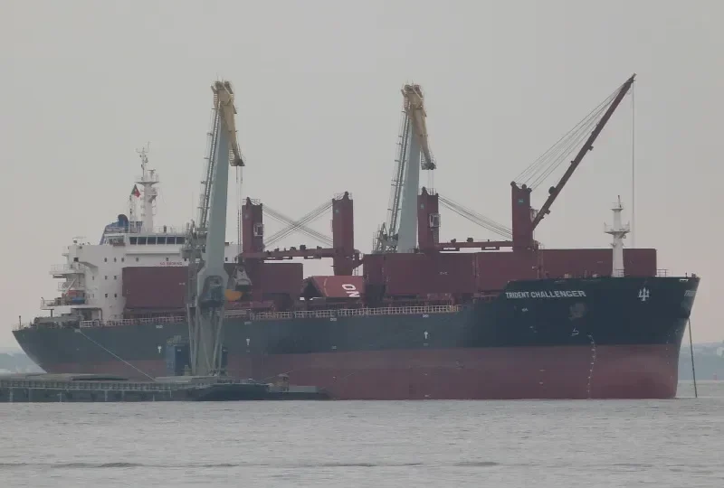 PAPA JOHN Bulk Carrier IMO 9555149 photo 7