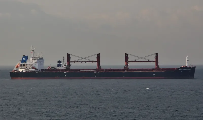 PAPA JOHN Bulk Carrier IMO 9555149 photo 9