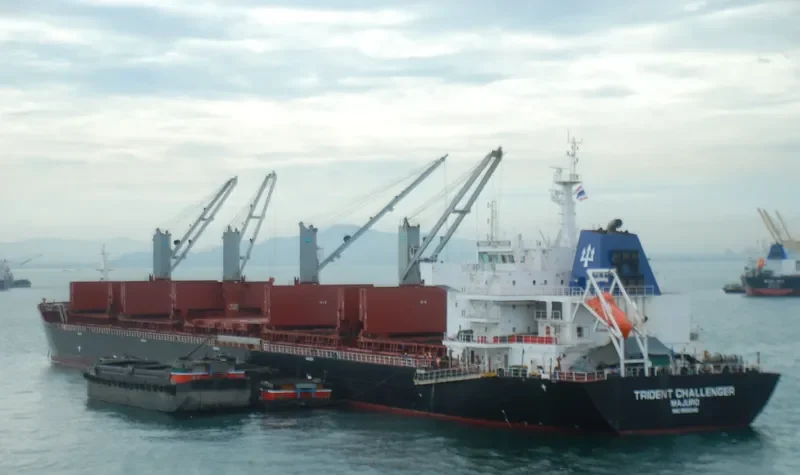 PAPA JOHN Bulk Carrier IMO 9555149 photo 10