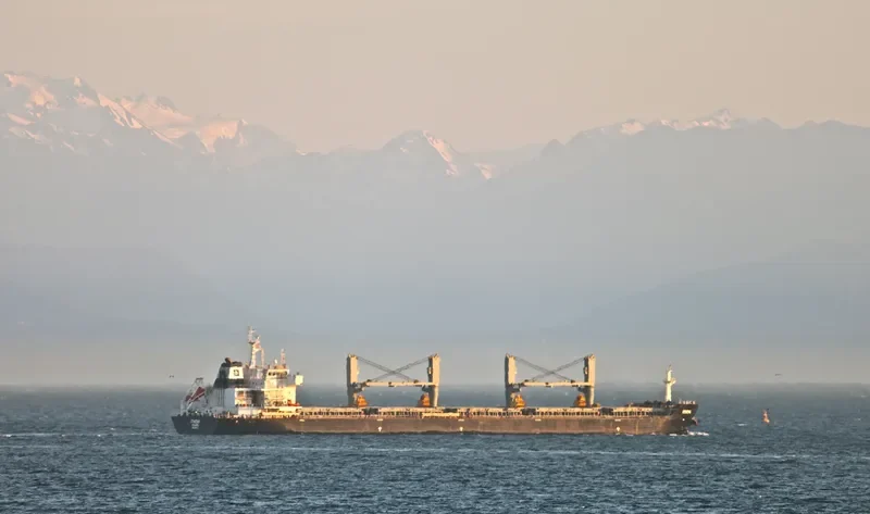 ITHOMI Bulk Carrier IMO 9555151 photo 6