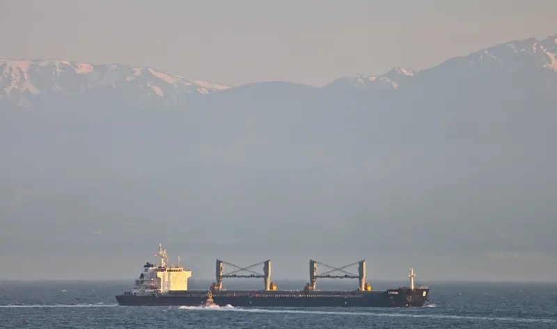 ITHOMI Bulk Carrier IMO 9555151 photo 7