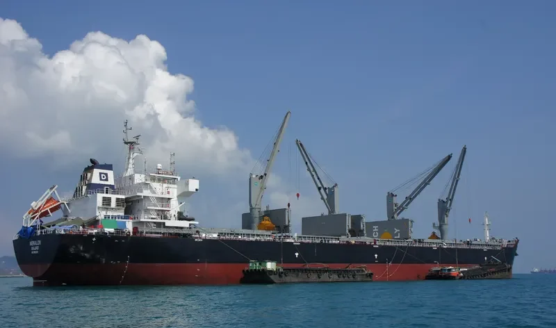 KSL LAIYANG Bulk Carrier IMO 9555163 photo 2