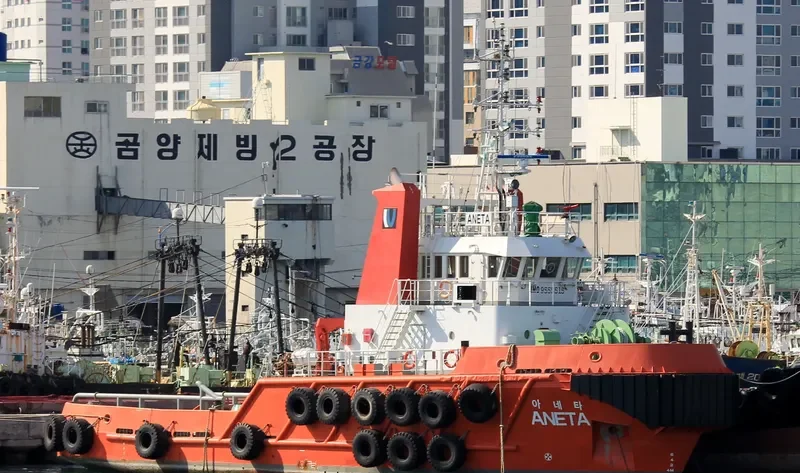 ANETA General Cargo IMO 9555515 photo 2