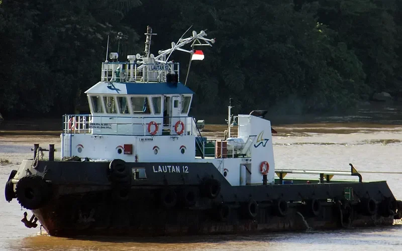 LAUTAN 12 General Cargo IMO 9556088