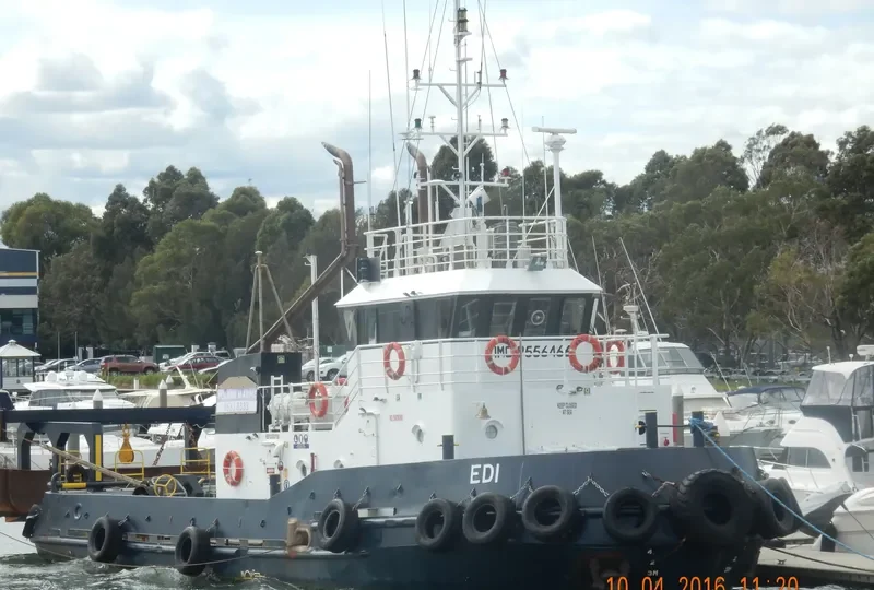 EDI General Cargo IMO 9556466