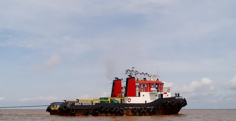 BINA MARINE 57 General Cargo IMO 9556583 photo 3