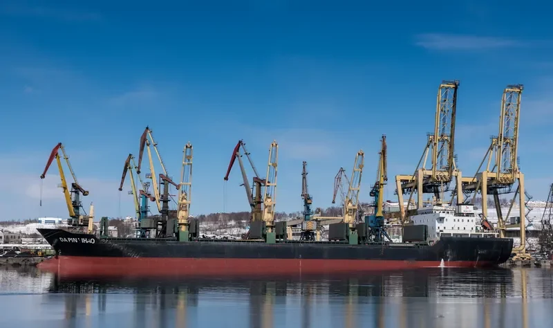 DA PIN YI HAO Bulk Carrier IMO 9556791