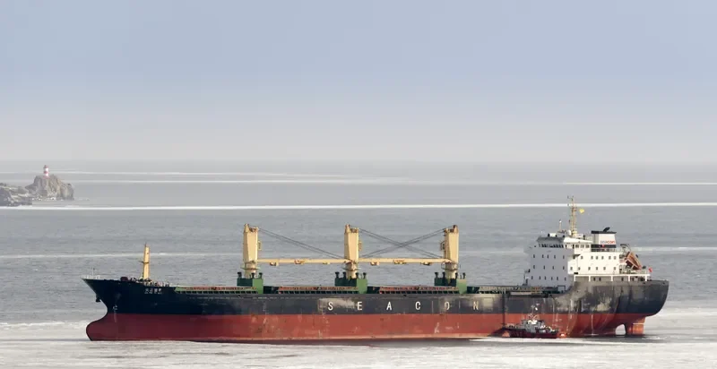 DA PIN YI HAO Bulk Carrier IMO 9556791 photo 2