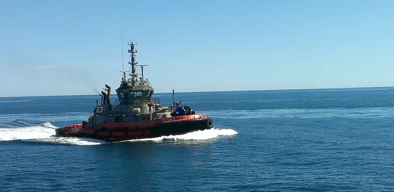 RT FORCE General Cargo IMO 9556882