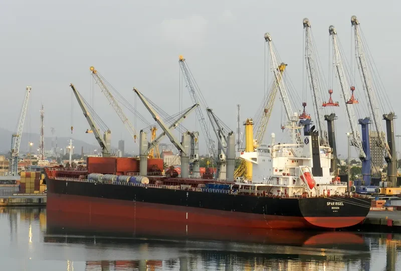 SPAR RIGEL Bulk Carrier IMO 9557111 photo 2
