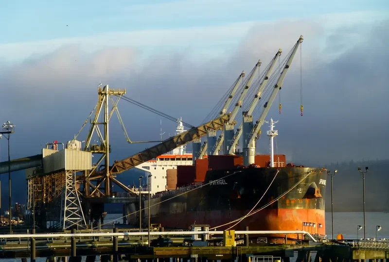 SPAR RIGEL Bulk Carrier IMO 9557111 photo 3
