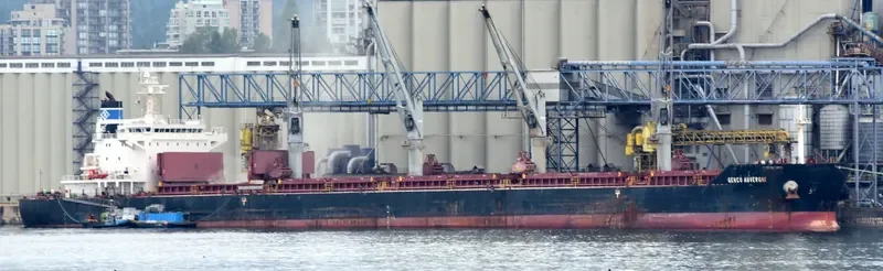 GENCO AUVERGNE Bulk Carrier IMO 9557123