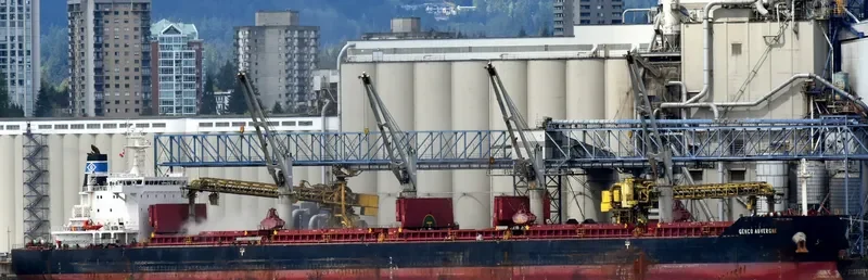 GENCO AUVERGNE Bulk Carrier IMO 9557123 photo 4