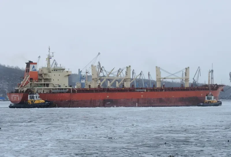 GOLDEN MAPLE Bulk Carrier IMO 9557214