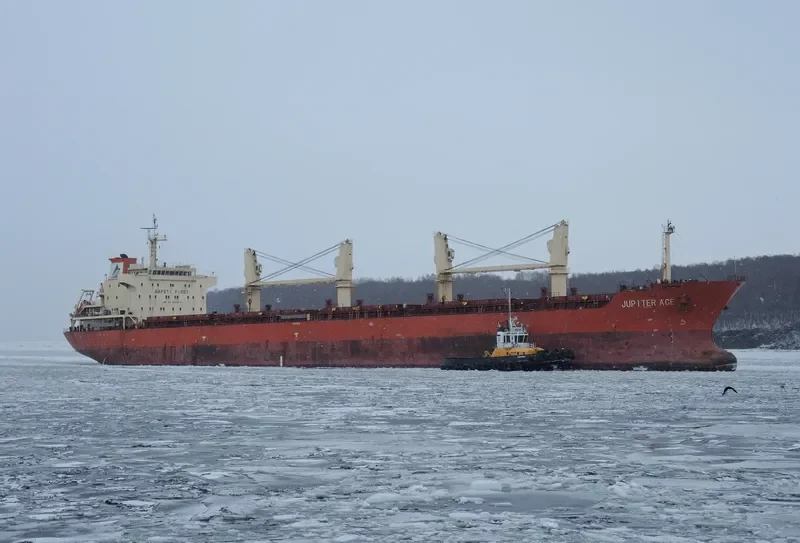 GOLDEN MAPLE Bulk Carrier IMO 9557214 photo 2