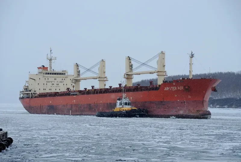 GOLDEN MAPLE Bulk Carrier IMO 9557214 photo 3