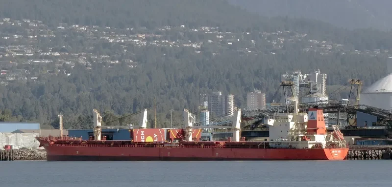 GOLDEN MAPLE Bulk Carrier IMO 9557214 photo 6