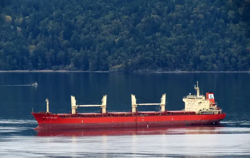GOLDEN MAPLE Bulk Carrier IMO 9557214 photo 10