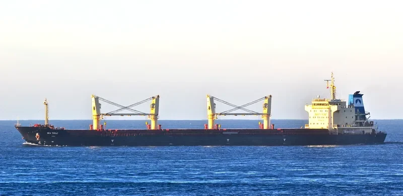 SEA TOPAZ Bulk Carrier IMO 9557240 photo 3