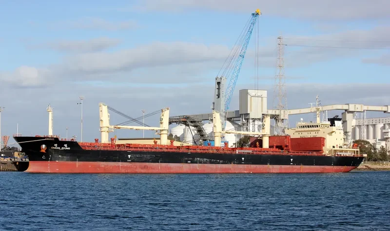 SEA TOPAZ Bulk Carrier IMO 9557240 photo 7
