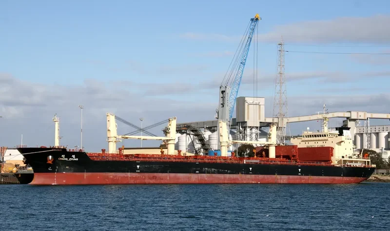 SEA TOPAZ Bulk Carrier IMO 9557240 photo 8
