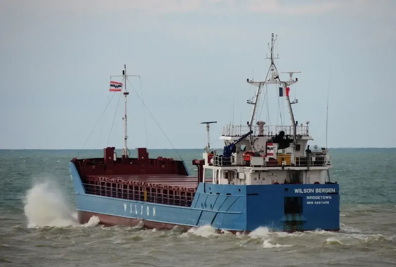 WILSON BERGEN General Cargo IMO 9557408 photo 3