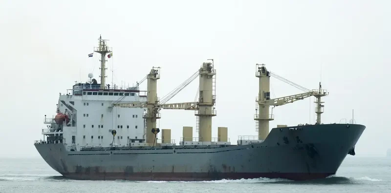 LEMIN General Cargo IMO 9557472 photo 3