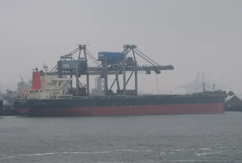 SPRING BRIGHT Bulk Carrier IMO 9557862 photo 2