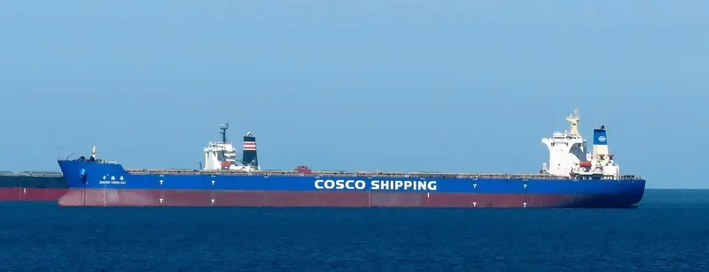 ZHONG TENG HAI Bulk Carrier IMO 9558074