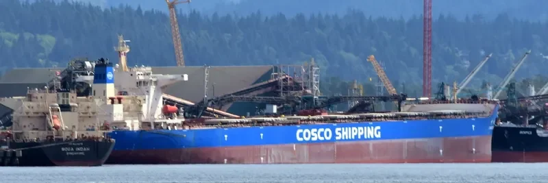 ZHONG TENG HAI Bulk Carrier IMO 9558074 photo 4