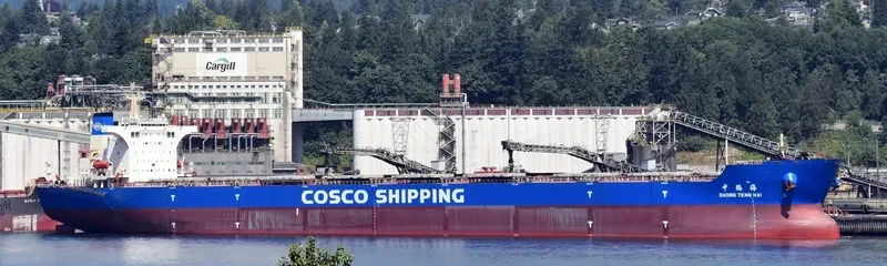 ZHONG TENG HAI Bulk Carrier IMO 9558074 photo 6