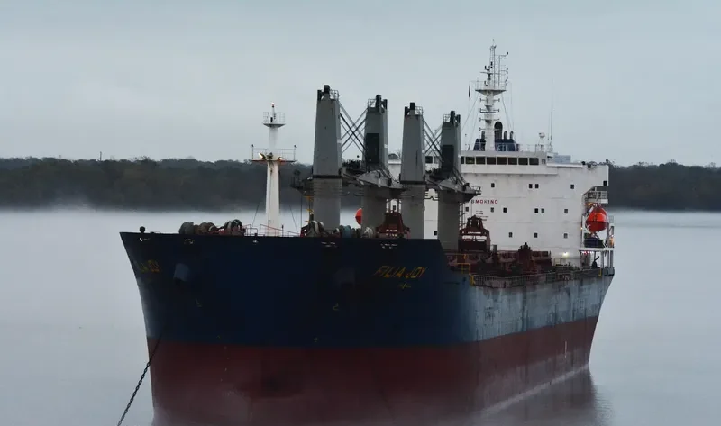 FILIA JOY Bulk Carrier IMO 9558153 photo 2