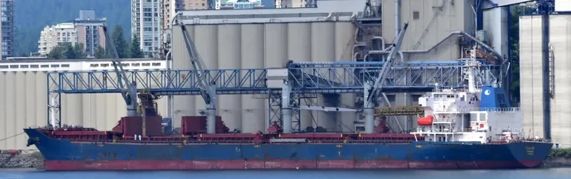 FILIA JOY Bulk Carrier IMO 9558153 photo 3