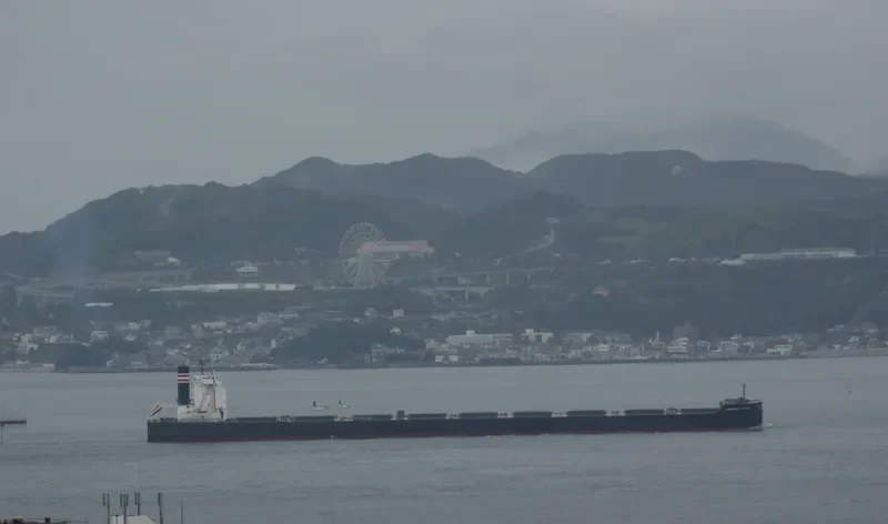 CARDINAL VICTORY Bulk Carrier IMO 9558165
