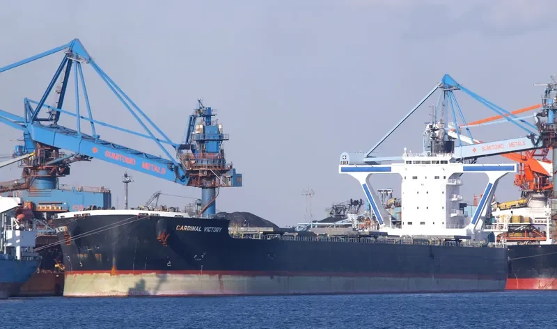 CARDINAL VICTORY Bulk Carrier IMO 9558165 photo 3