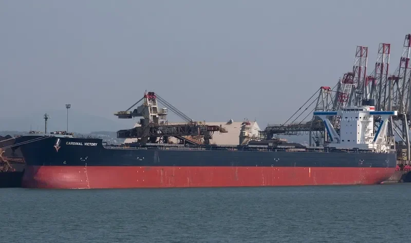CARDINAL VICTORY Bulk Carrier IMO 9558165 photo 5
