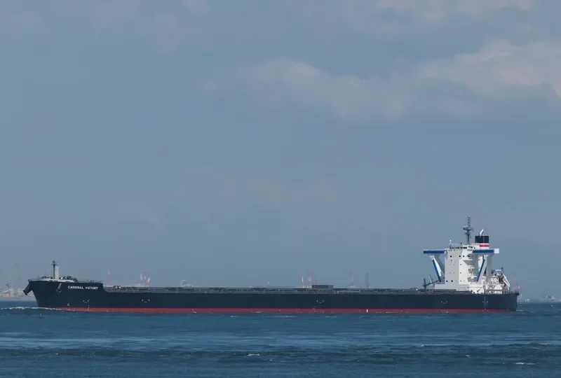 CARDINAL VICTORY Bulk Carrier IMO 9558165 photo 8