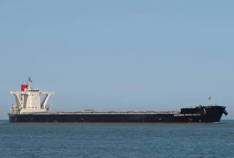 SOUTHERN CROSS DREAM Bulk Carrier IMO 9558189 photo 2