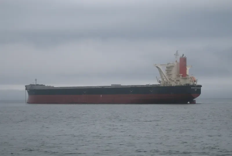 SOUTHERN CROSS DREAM Bulk Carrier IMO 9558189 photo 7