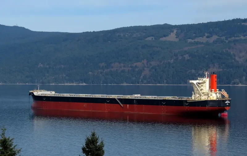 LAMBERT MARU Bulk Carrier IMO 9558206 photo 10