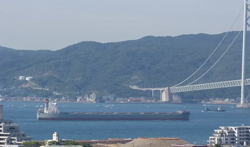 CAPE SAMPAGITA Bulk Carrier IMO 9558220 photo 5