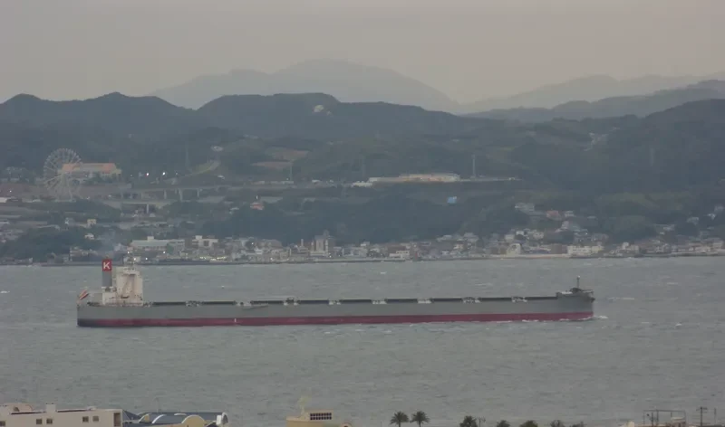 CAPE SAMPAGITA Bulk Carrier IMO 9558220 photo 10
