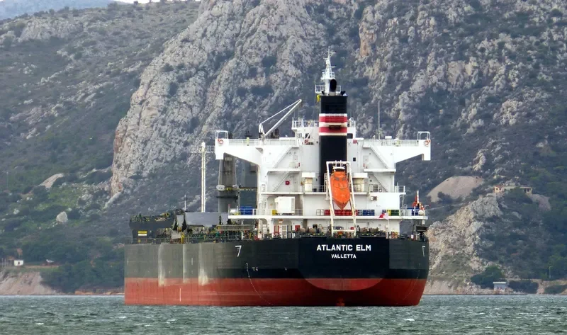 ATLANTIC ELM Bulk Carrier IMO 9558244 photo 2
